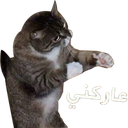 mz_342 emote