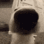 SniffDog emote