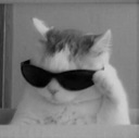 emoji_91 Emote
