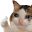 emoji_55 emote