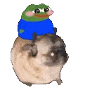 pepeonpug emote