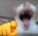 WAJAJA emote
