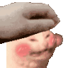 CatoHappyPat emote