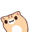 catsonnywiggle emote