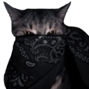 8089blackbandanacat emote