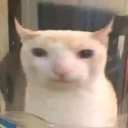 kotak emote