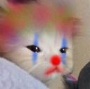 clowncatI emote