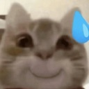 emoji_102 emote