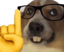 2066nerddoggo emote