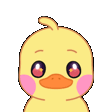 Duckwave emote