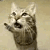 meowsynth Emote