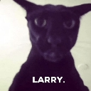 emoji_13 emote