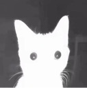 emoji_136 Emote