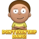 DONTEVENTRIPDAWG emote