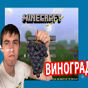 vinograd Emote