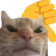 cat_dislike emote