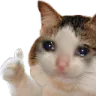 catliked2 emote