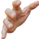 left Emote