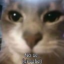 nose emote