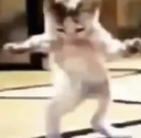 Tanzende_Katze emote