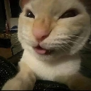 emoji_15 Emote