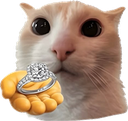 Ring emote