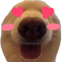 dawgcrush emote