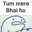 bhaii emote