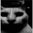 umer_nahui emote