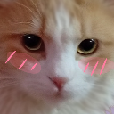 emoji_51 Emote