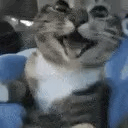 von Emote