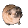 Vibing_Pug emote