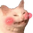 emoji_98 Emote