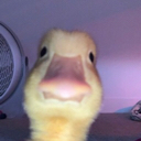 emoji_186 Emote