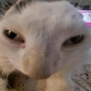 Screenshot_20251110_093501_Pinte emote