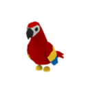 Pet Emote