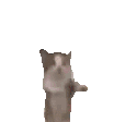 yipyippee emote