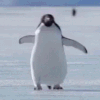 emoji_144 emote