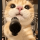 emoji_28 Emote