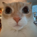 yha Emote