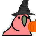 pumpkinparrot emote