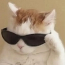 CoolPussy emote