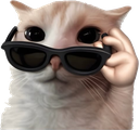 600559glasses emote