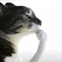 cathink emote