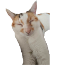 brenda2 emote