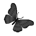 51165blackbutterfly emote
