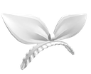 accessories Emote