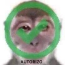 autorizado emote