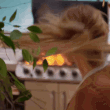 upinflames Emote