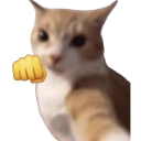 punch emote
